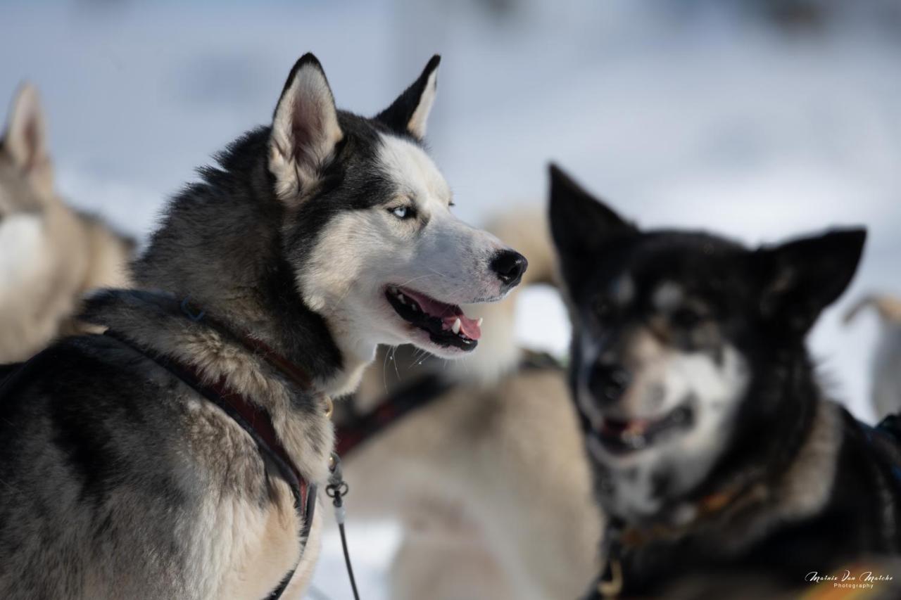 Rondane River Lodge - Rondane Gjestegard Enden Екстериор снимка