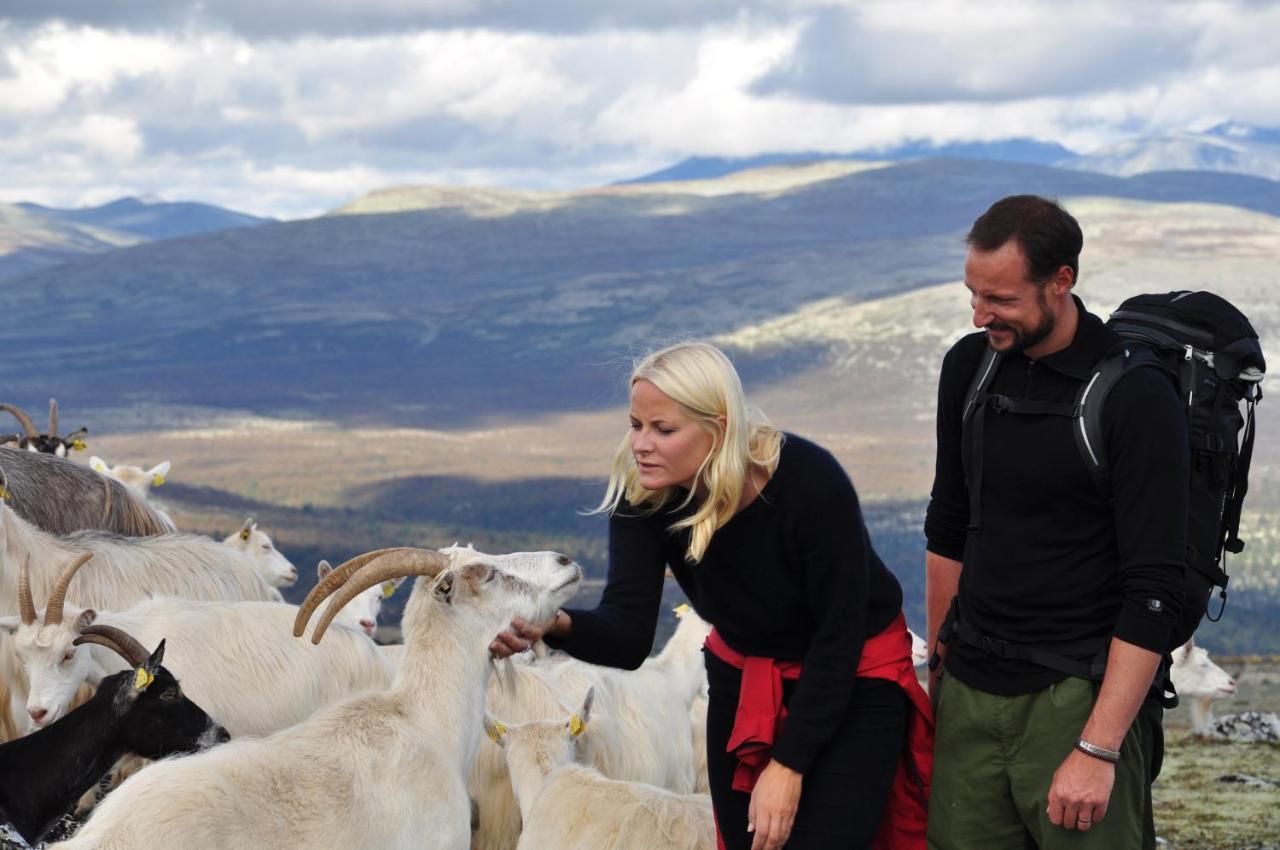 Rondane River Lodge - Rondane Gjestegard Enden Екстериор снимка