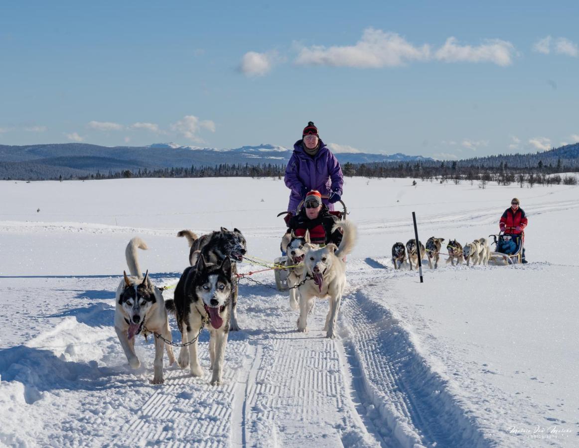 Rondane River Lodge - Rondane Gjestegard Enden Екстериор снимка